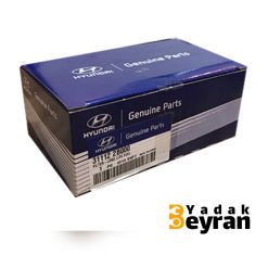 فیلتر بنزین سانتافه 2700