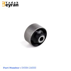 بوش طبق آوانته