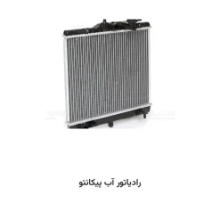 رادیاتور آب پیکانتو